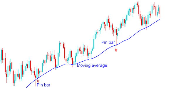 Pin Bar Price Action Combined with Moving Averages