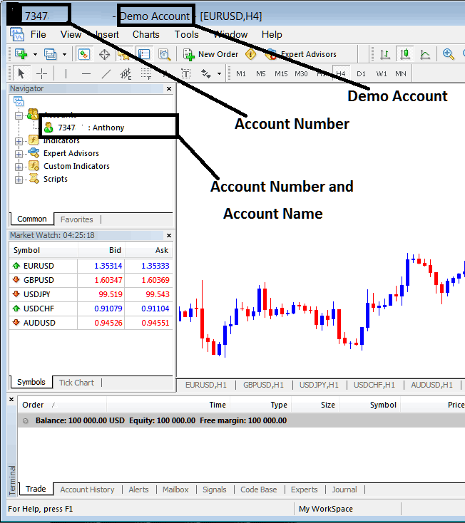 Account Name and Account Number in MT4 Account - BTCUSD Crypto MetaTrader Account Login