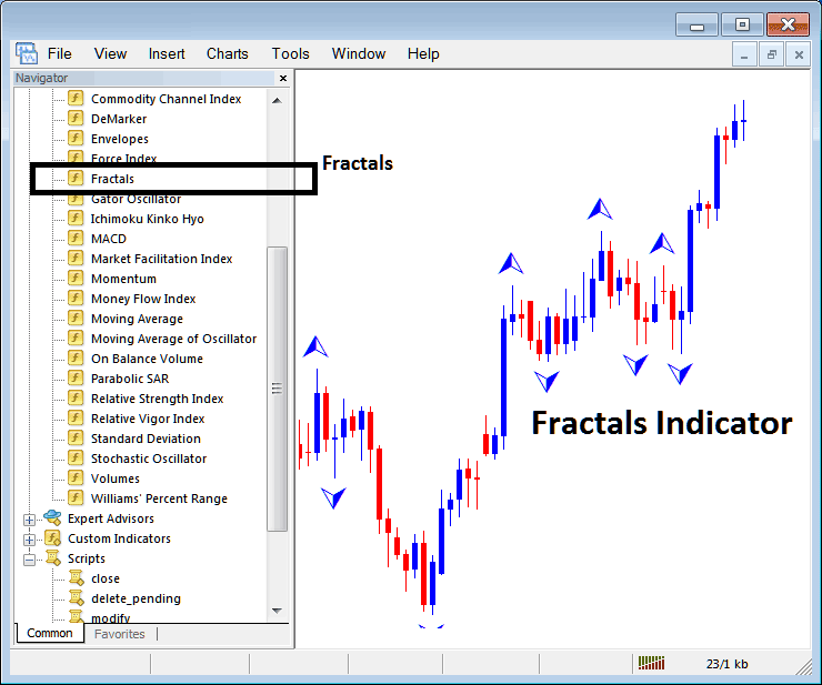 How Do I Place Trading Chaos Fractals Indicator on Trading Chart in Trading Platform?