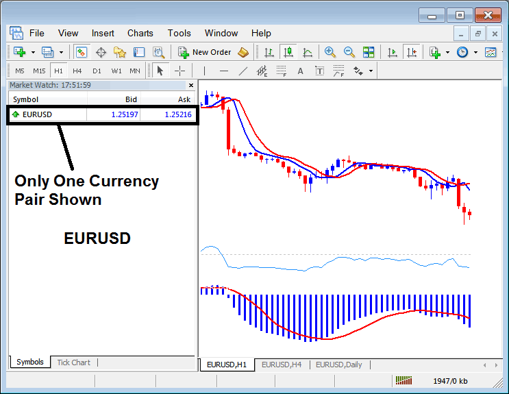 EURUSD Currency Pair Symbol Shown on MT4 - MT4 Market Watch Window Explanation - Showing Currency Pair Symbols in MT4