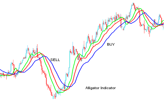 the Alligator Gold Indicator - Buy Sell XAU USD Signals - Alligator XAUUSD Technical Indicator Analysis in XAUUSD - Alligator Technical XAUUSD Indicator