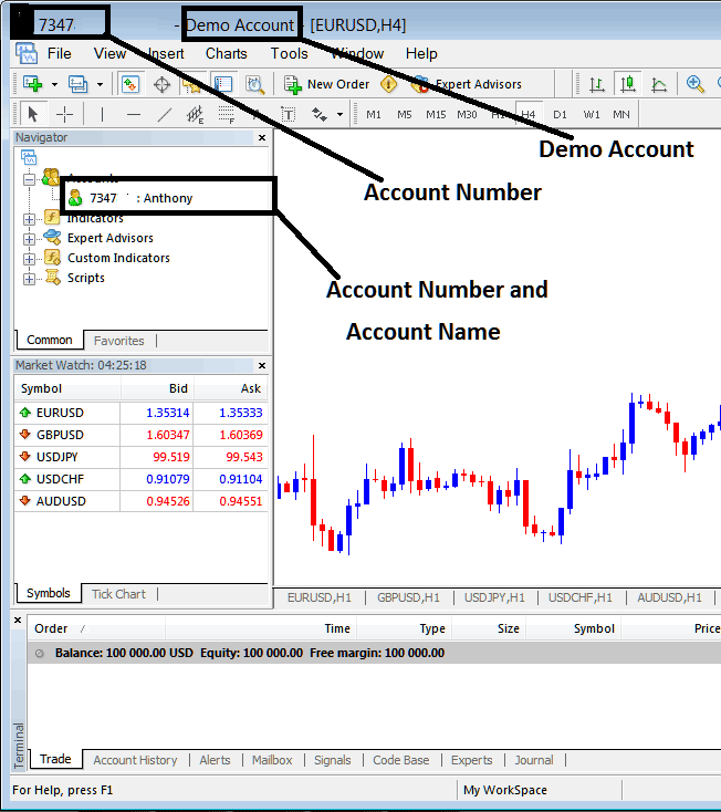 XAUUSD Trading MetaTrader Account - XAUUSD Trading MetaTrader 4 Account Login - XAU/USD Platforms Accounts - XAUUSD Trading MetaTrader Account Login