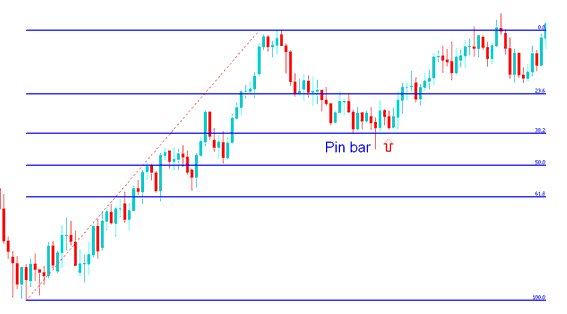 Pin Bar XAUUSD Price Action Combined with Fibonacci Retracement - Pin Bar Trading Price Action Method and Pin Bar Reversal Pin Bar Trading Price Action Trading Method