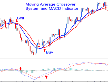 MACD Indicator - Forex Trading MACD Technical Indicator