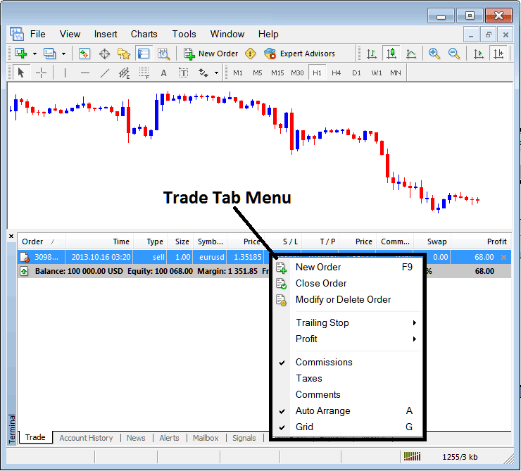 Trade Tab Menu in MT4 Terminal Window - Index MT4 Online Software - Stock Indices MT4 Transactions Window