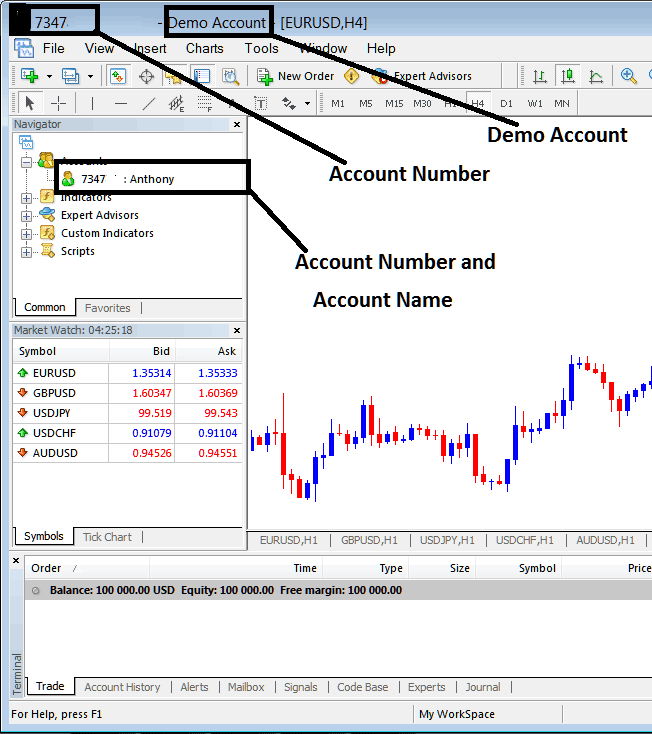 Forex Account Name and Forex Account Number on MT4 Account - Forex MT4 Account Details - Forex MetaTrader 4 Account Login