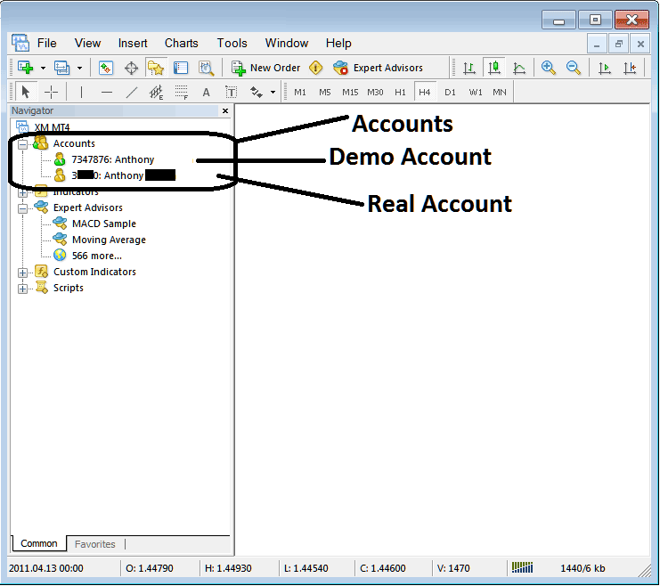 Demo Account and Real Account on MT4 Software - What is MT4 Navigator Window?