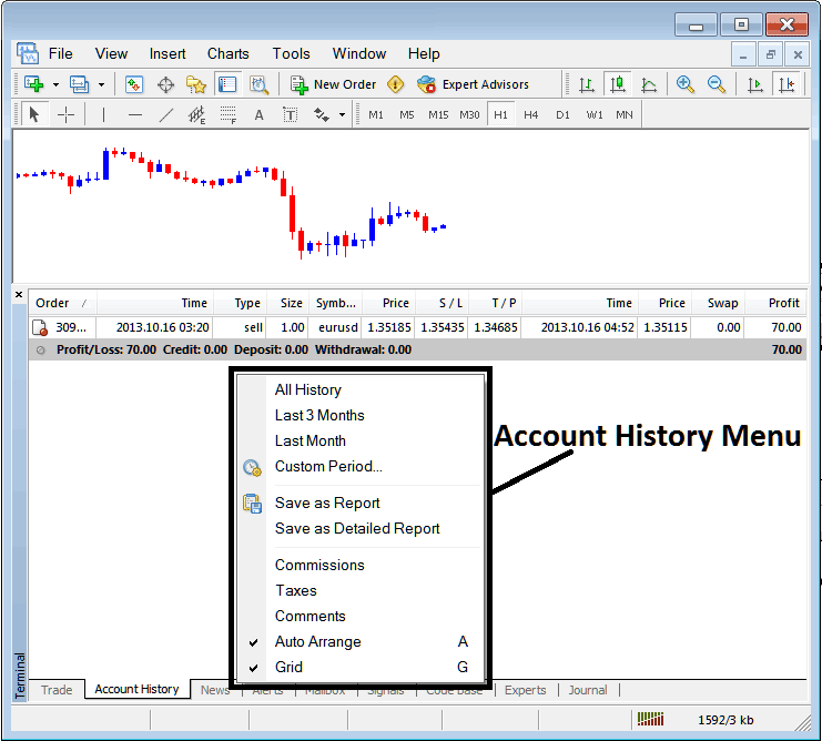 Account History Menu on MetaTrader 4 Platform For Generating Detailed Trading Reports - MetaTrader 4 Gold Transactions Tabs Panel - Gold Trading MT4 Online Trading Platform - Gold MT4 Transactions Window