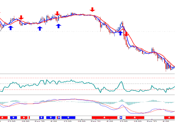 Oil Expert-Advisors Auto Trading Expert-Advisors - Best Trading Auto Trading EA - Oil Automated Bot EA