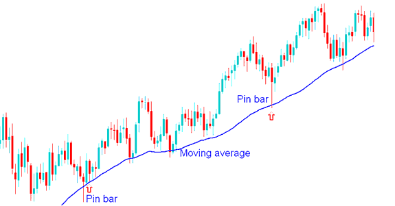 Pin Bar Price Action Combined with Moving Averages - How to Use Moving Average Indicator on Chart