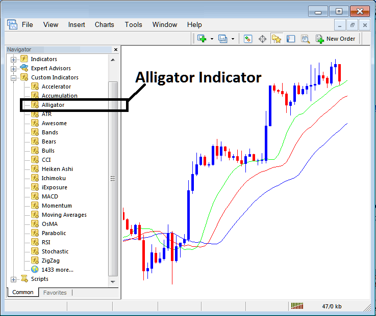 How to Place Alligator Indicator in Charts - How to Place Alligator Indicator on Chart in MT4